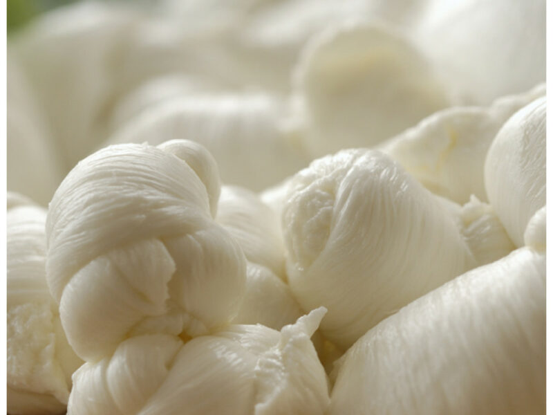 mozzarella-991x991